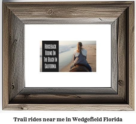 trail rides near me in Wedgefield, Florida